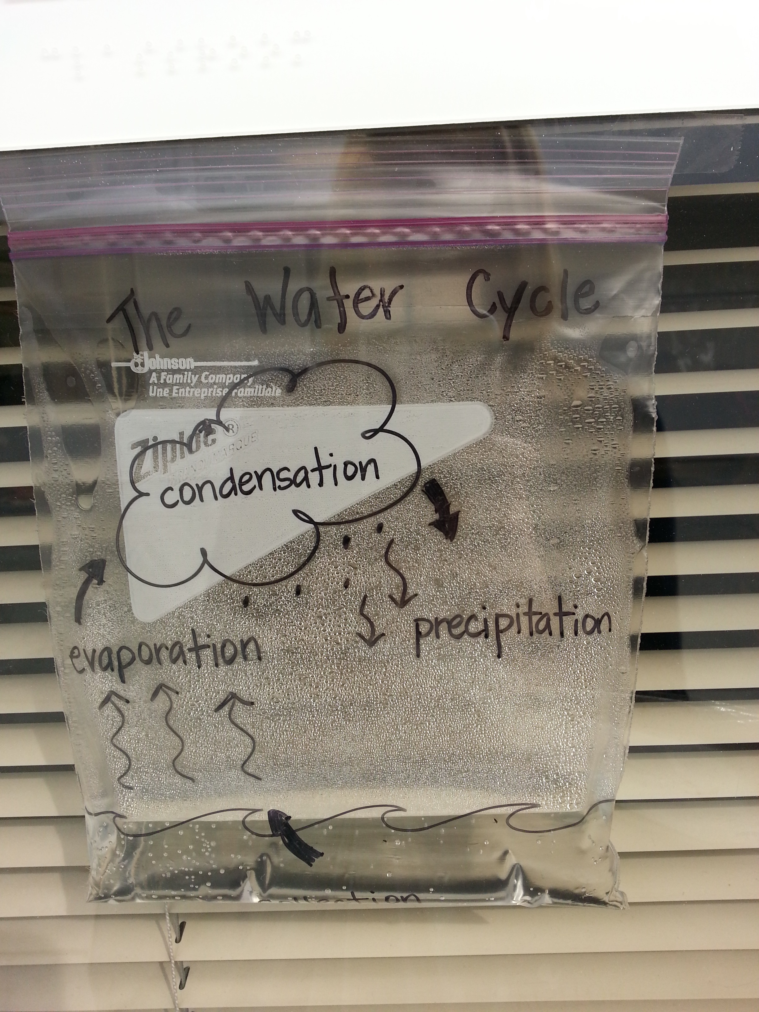 Weather Blog: Plastic bag becomes water cycle | abc10.com
