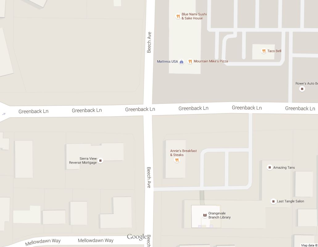 1 man killed in shooting along Greenback Lane