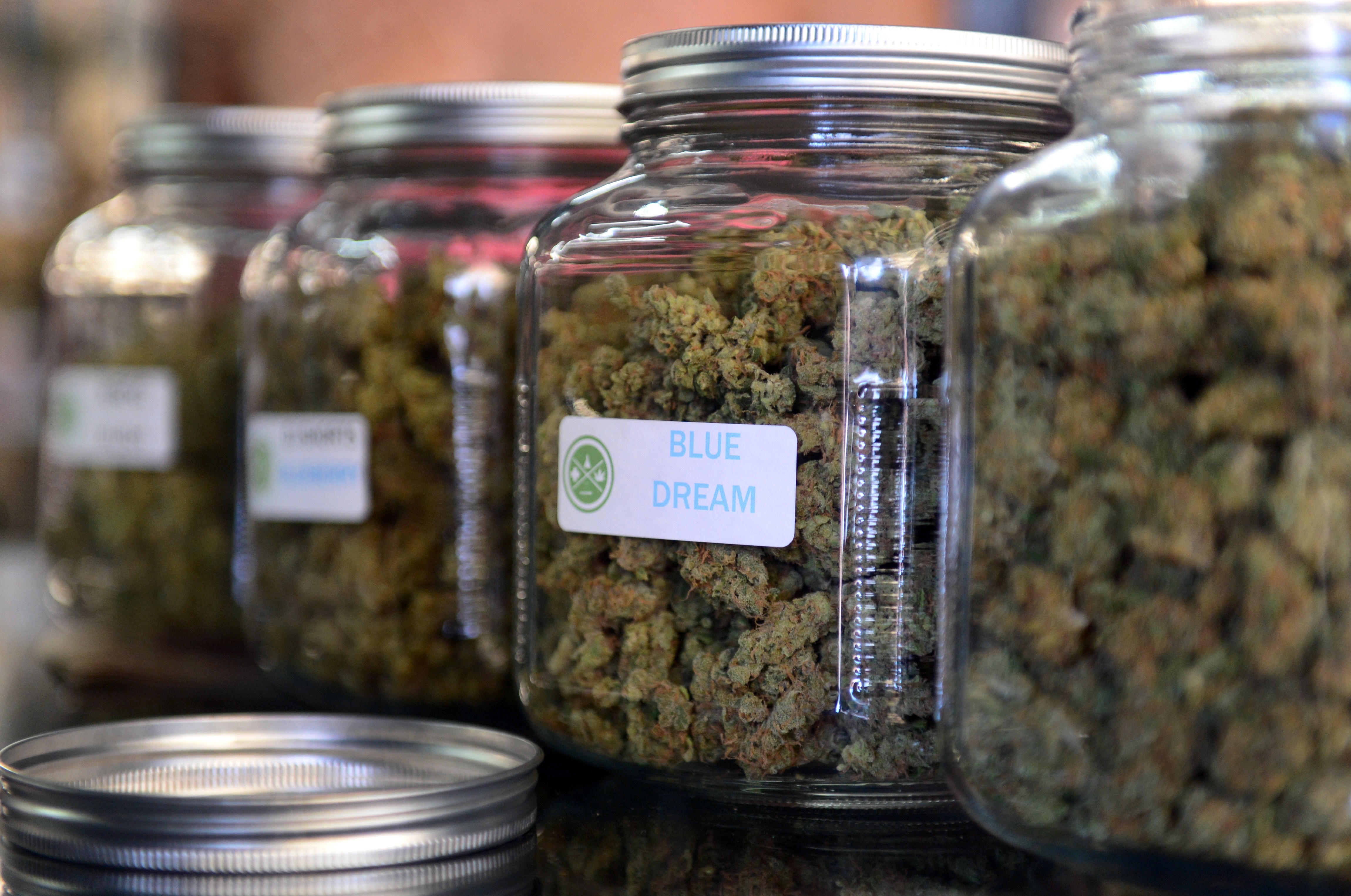 Placer County officials turn focus to medical marijuana industry 