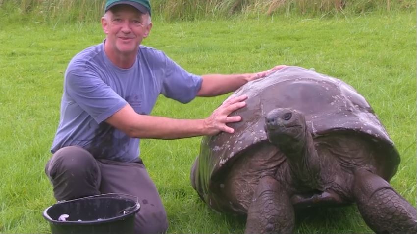 World's oldest living animal – Jonathan the tortoise – just had its first  bath 