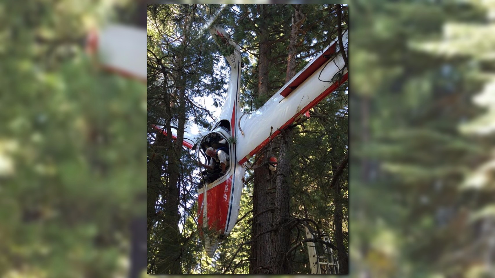 Glider plane crashes into trees on I80 near Blue Canyon