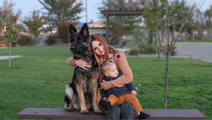Dog missing for more than a year reunites with family for Thanksgiving ...