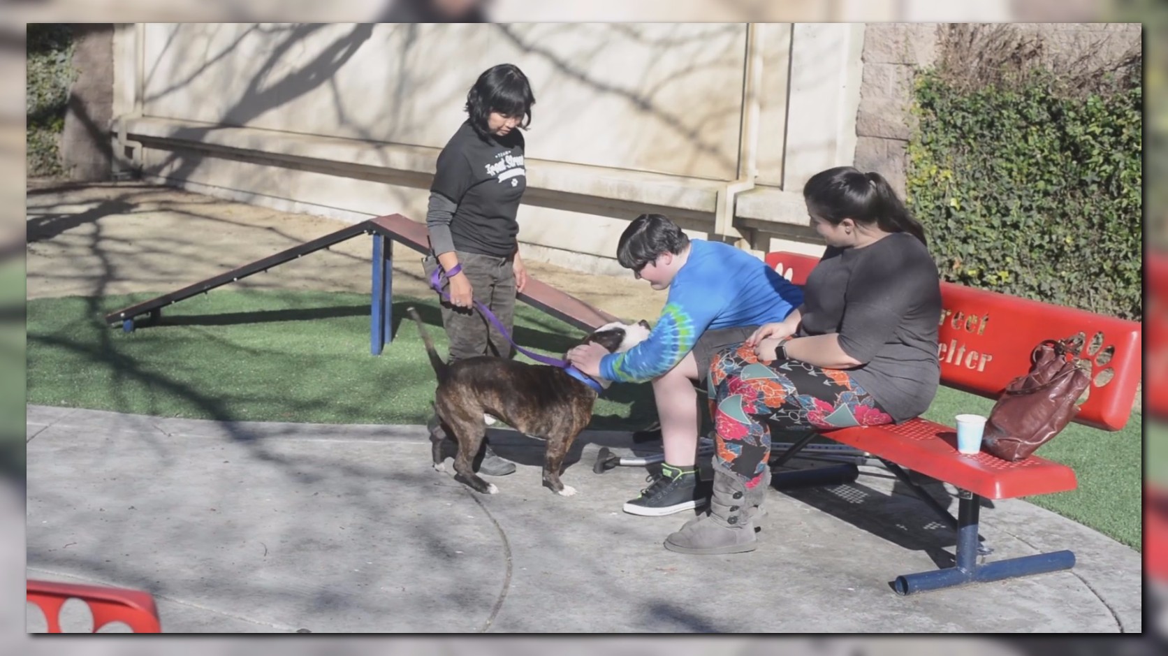 12-year-old boy who lost leg from...