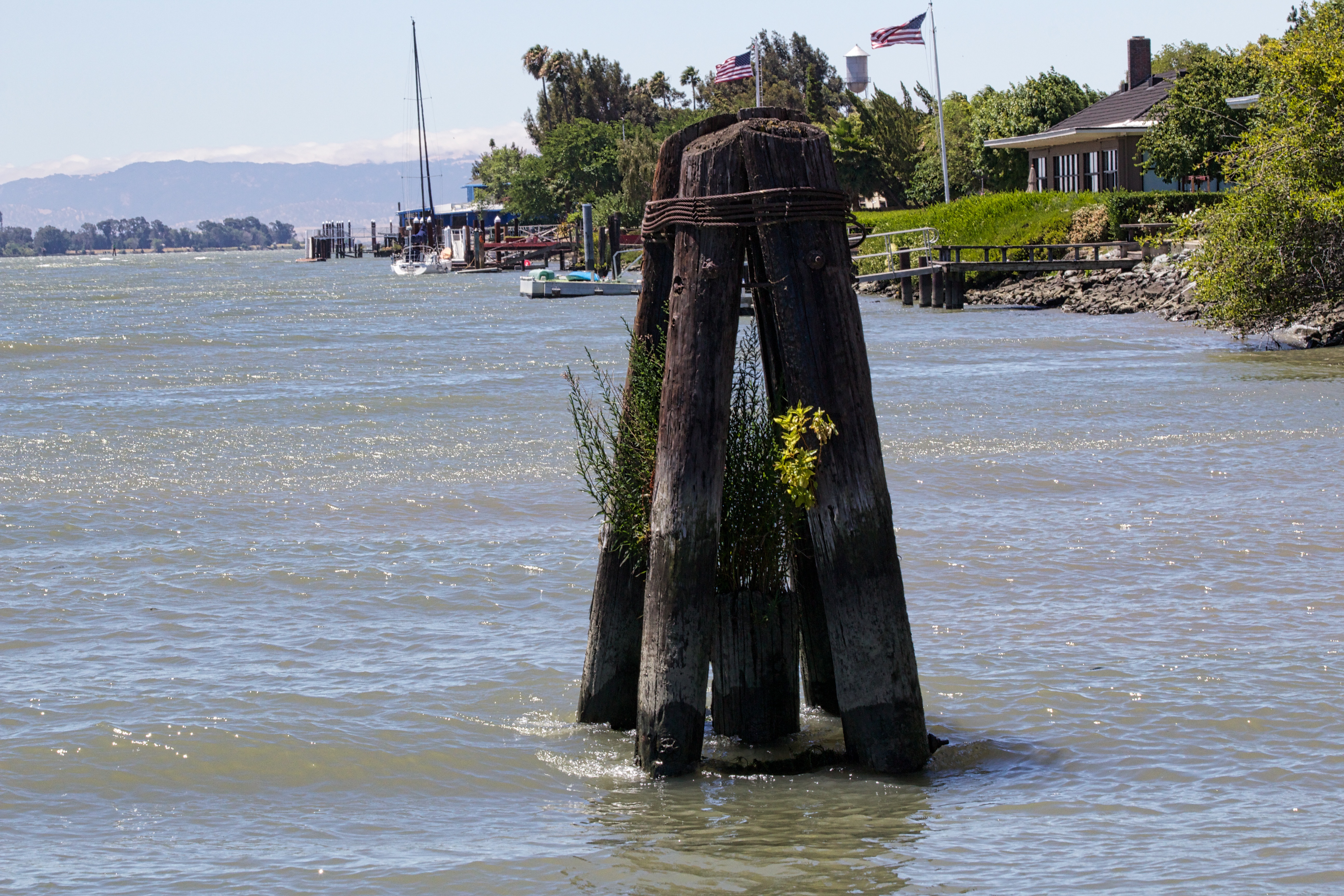 Child drowns in Sacramento River near Rio Vista | abc10.com