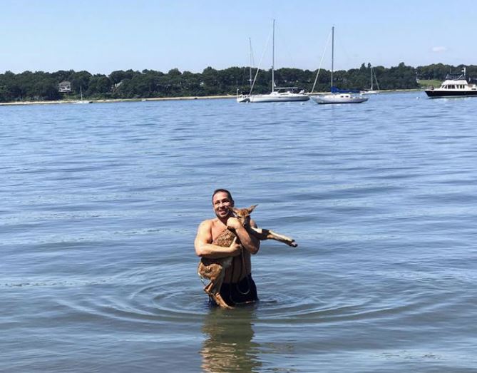 Dog rescues baby deer from Long Island port | wkyc.com