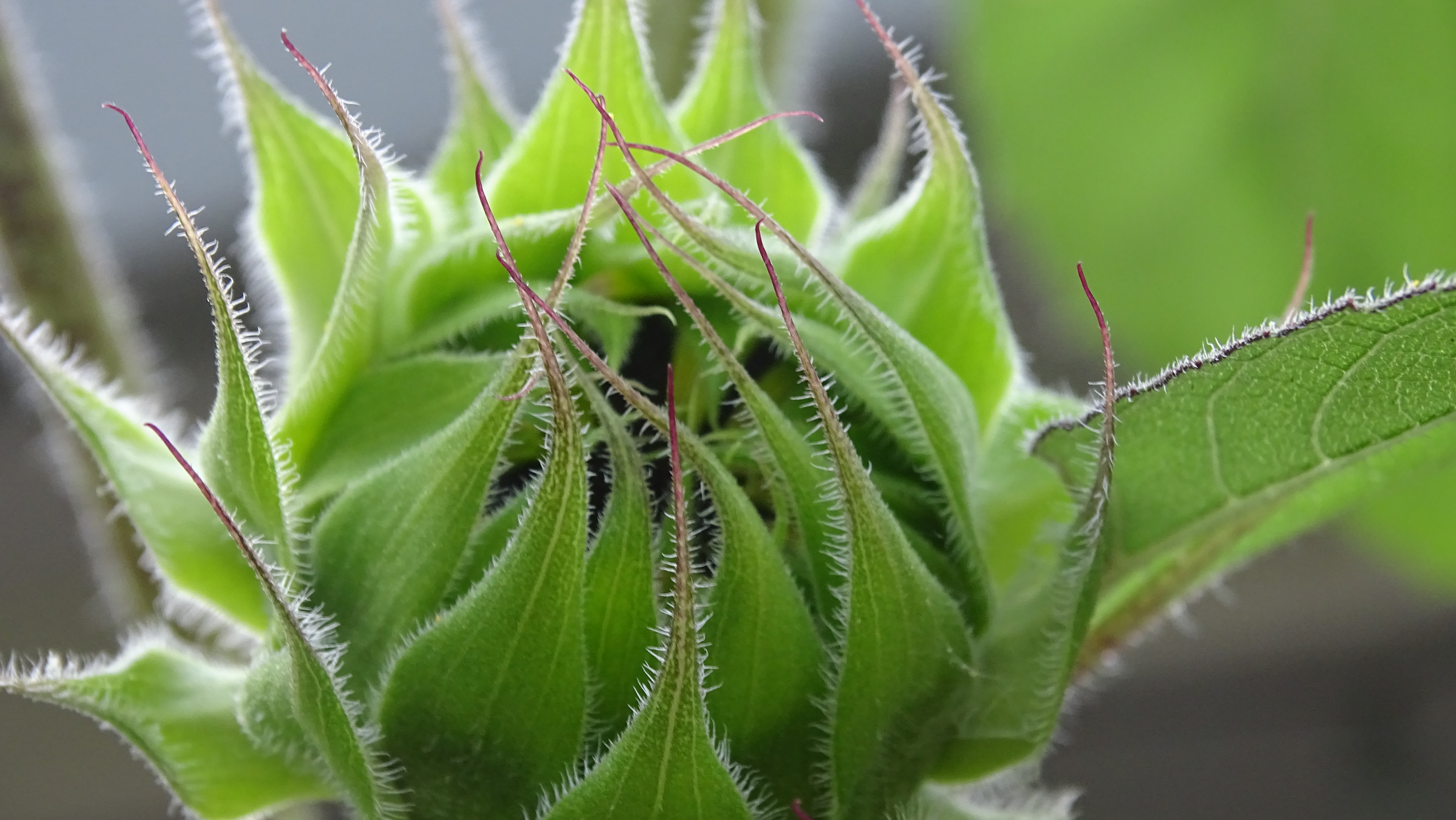 Your weather and nature photos