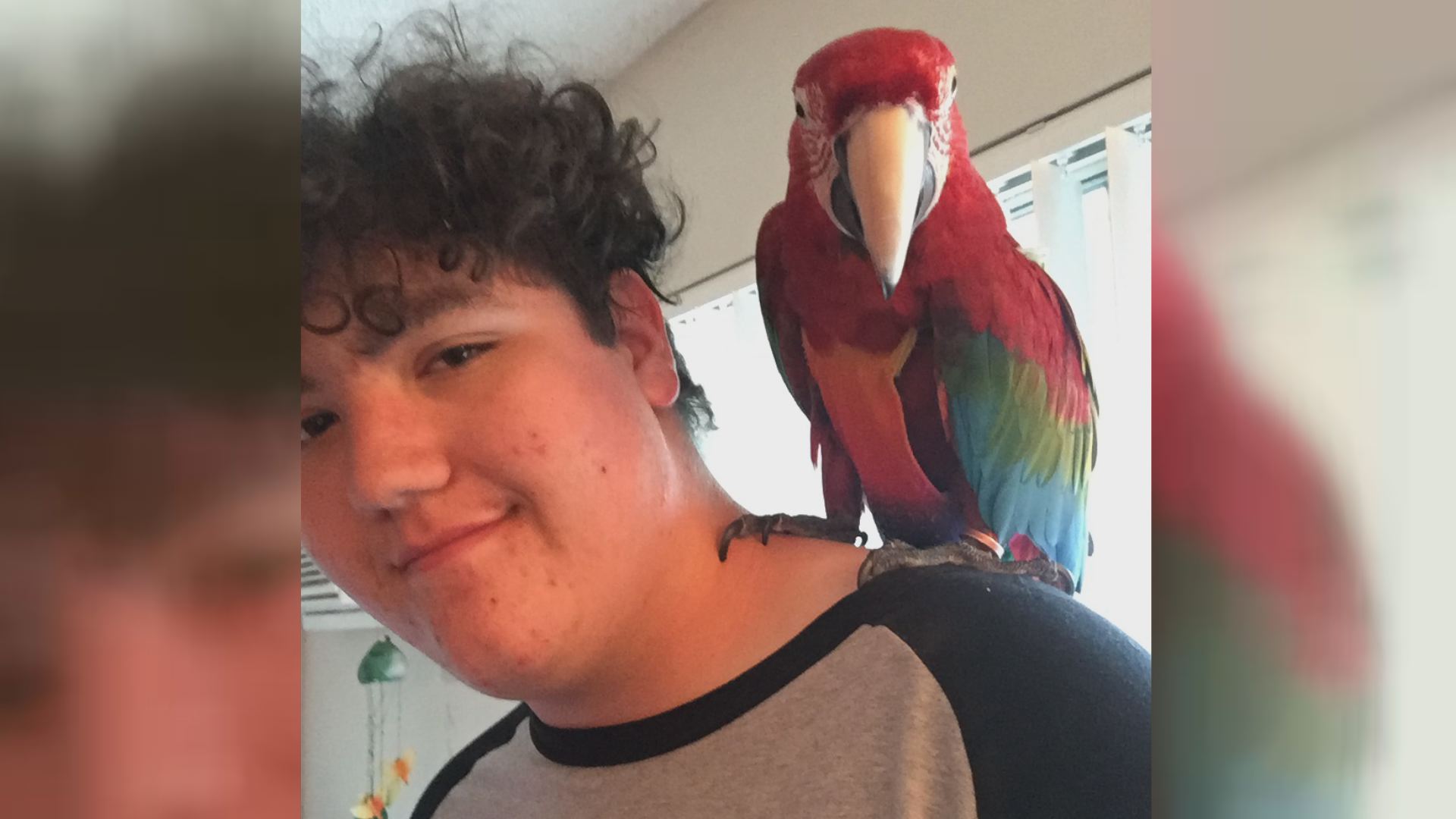 abc10.com | Service parrot changes Davis teen's life