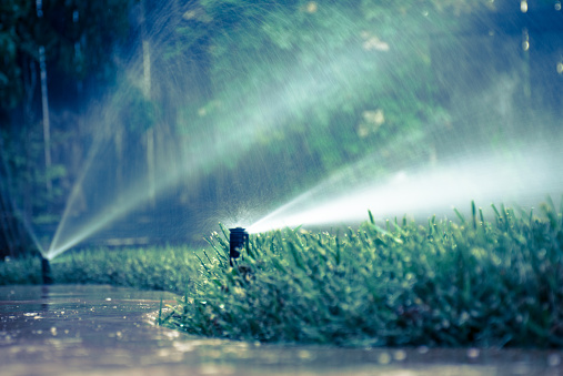 California lifts target for 15% water conservation - Vimarsana News